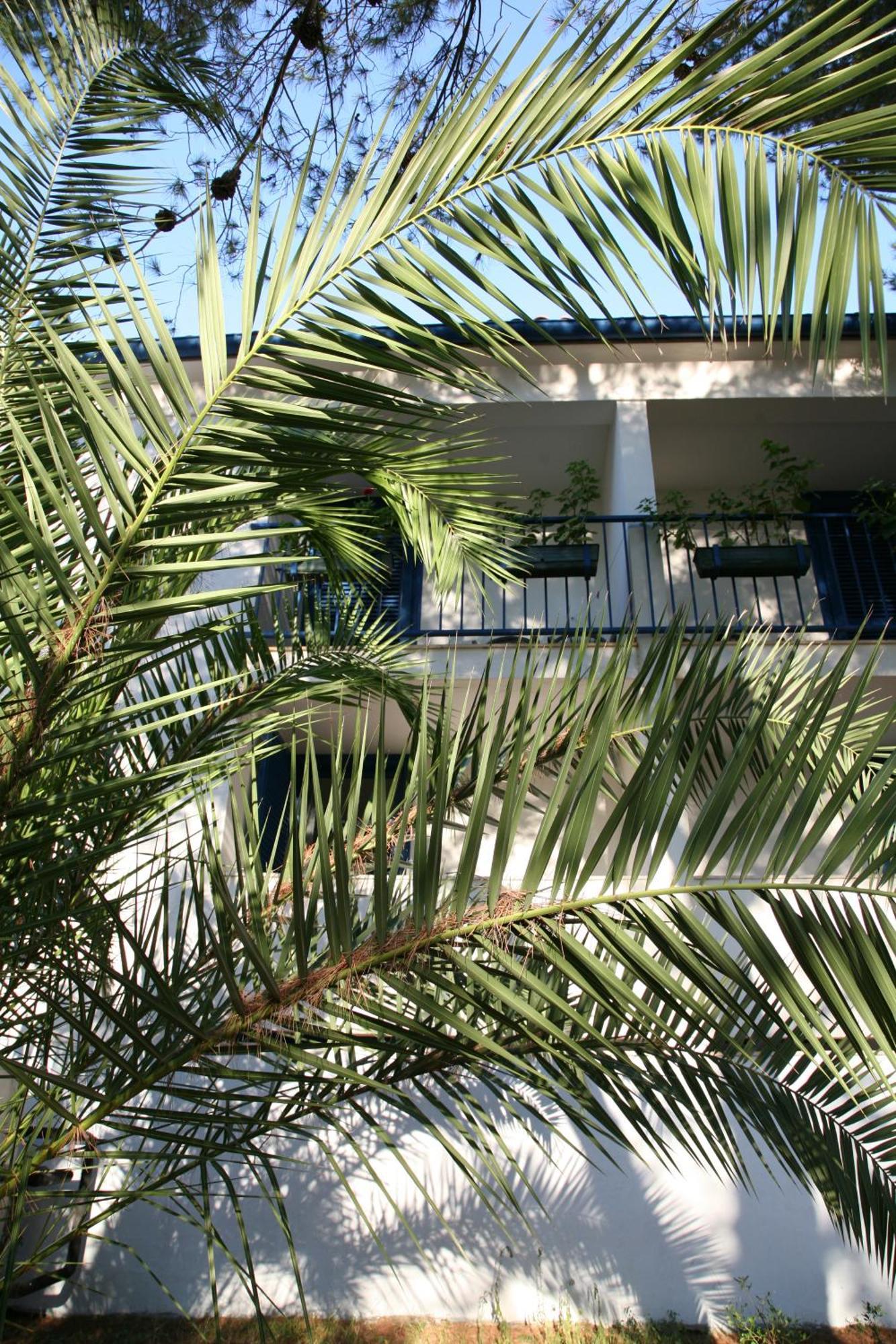 Hotel سالي المظهر الخارجي الصورة